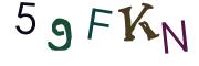 圖片的 CAPTCHA