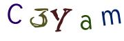 圖片的 CAPTCHA