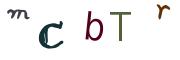 圖片的 CAPTCHA