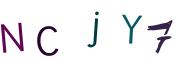 圖片的 CAPTCHA