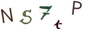 圖片的 CAPTCHA