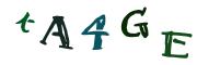 圖片的 CAPTCHA