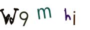 圖片的 CAPTCHA