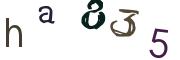 圖片的 CAPTCHA