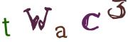 圖片的 CAPTCHA