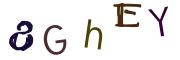 圖片的 CAPTCHA