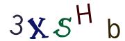 圖片的 CAPTCHA