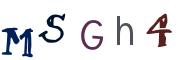圖片的 CAPTCHA