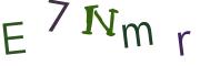 圖片的 CAPTCHA