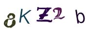 圖片的 CAPTCHA