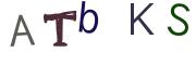 圖片的 CAPTCHA