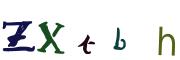 圖片的 CAPTCHA