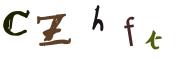 圖片的 CAPTCHA