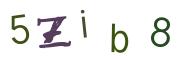 圖片的 CAPTCHA