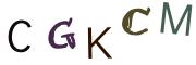 圖片的 CAPTCHA
