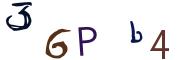 圖片的 CAPTCHA