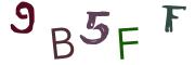 圖片的 CAPTCHA