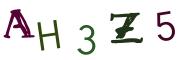 圖片的 CAPTCHA