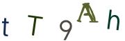 圖片的 CAPTCHA