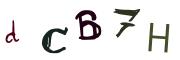 圖片的 CAPTCHA