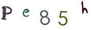 圖片的 CAPTCHA