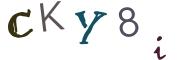 圖片的 CAPTCHA