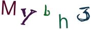 圖片的 CAPTCHA