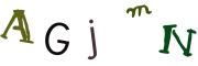 圖片的 CAPTCHA