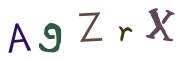 圖片的 CAPTCHA