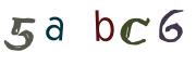 圖片的 CAPTCHA