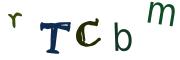 圖片的 CAPTCHA