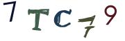 圖片的 CAPTCHA