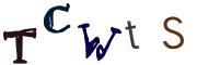圖片的 CAPTCHA