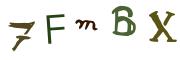 圖片的 CAPTCHA