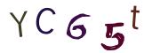 圖片的 CAPTCHA