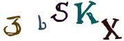 圖片的 CAPTCHA