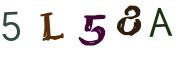 圖片的 CAPTCHA