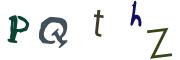 圖片的 CAPTCHA