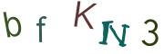 圖片的 CAPTCHA