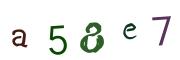 圖片的 CAPTCHA