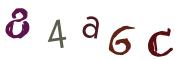 圖片的 CAPTCHA