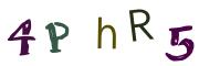 圖片的 CAPTCHA