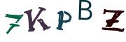 圖片的 CAPTCHA