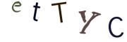 圖片的 CAPTCHA