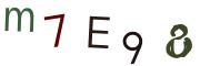 圖片的 CAPTCHA