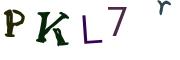 圖片的 CAPTCHA