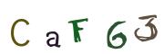 圖片的 CAPTCHA