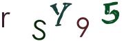 圖片的 CAPTCHA
