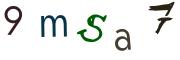 圖片的 CAPTCHA