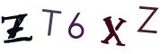 圖片的 CAPTCHA